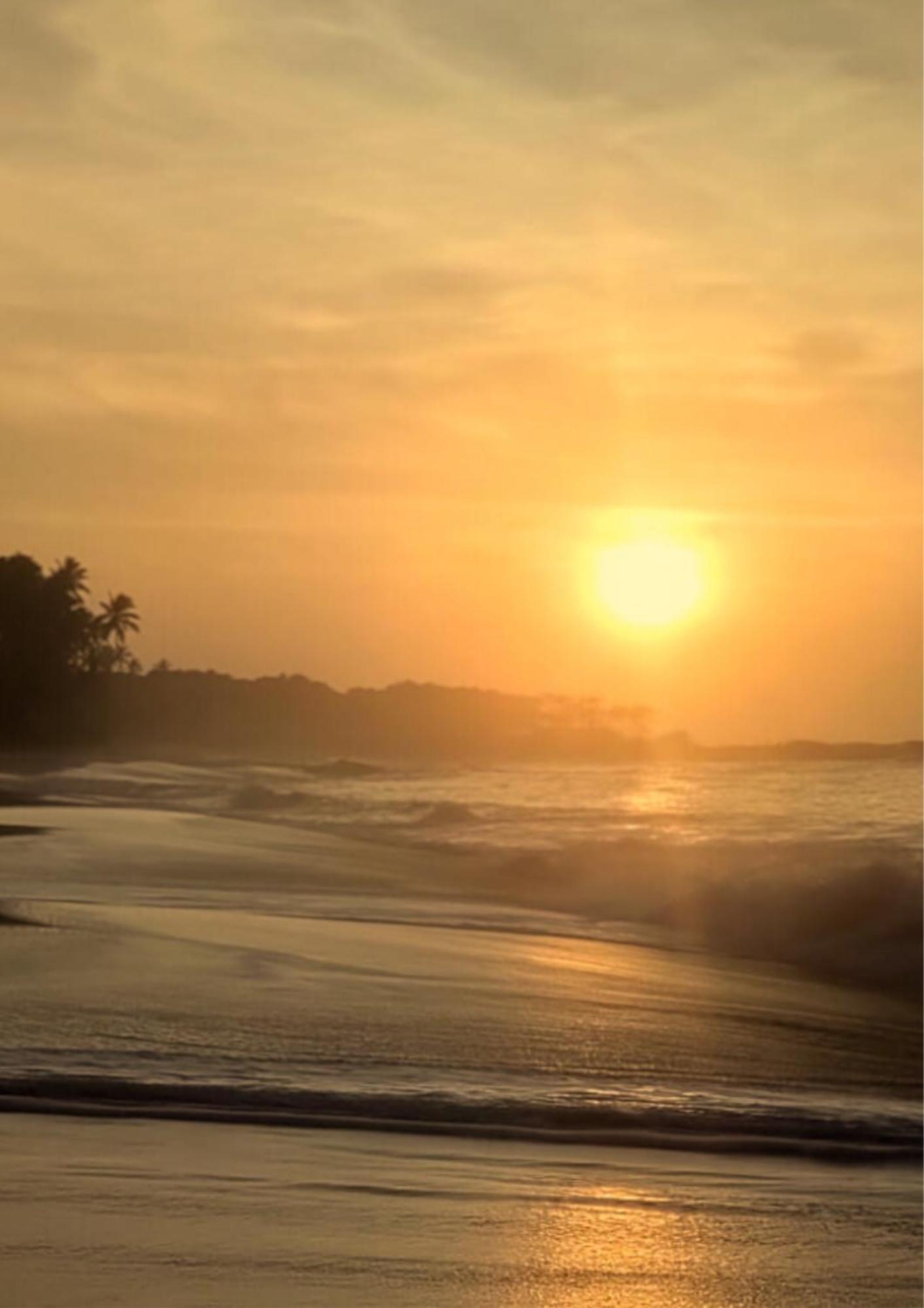 Amour At Turtle Beach Tangalle Ngoại thất bức ảnh