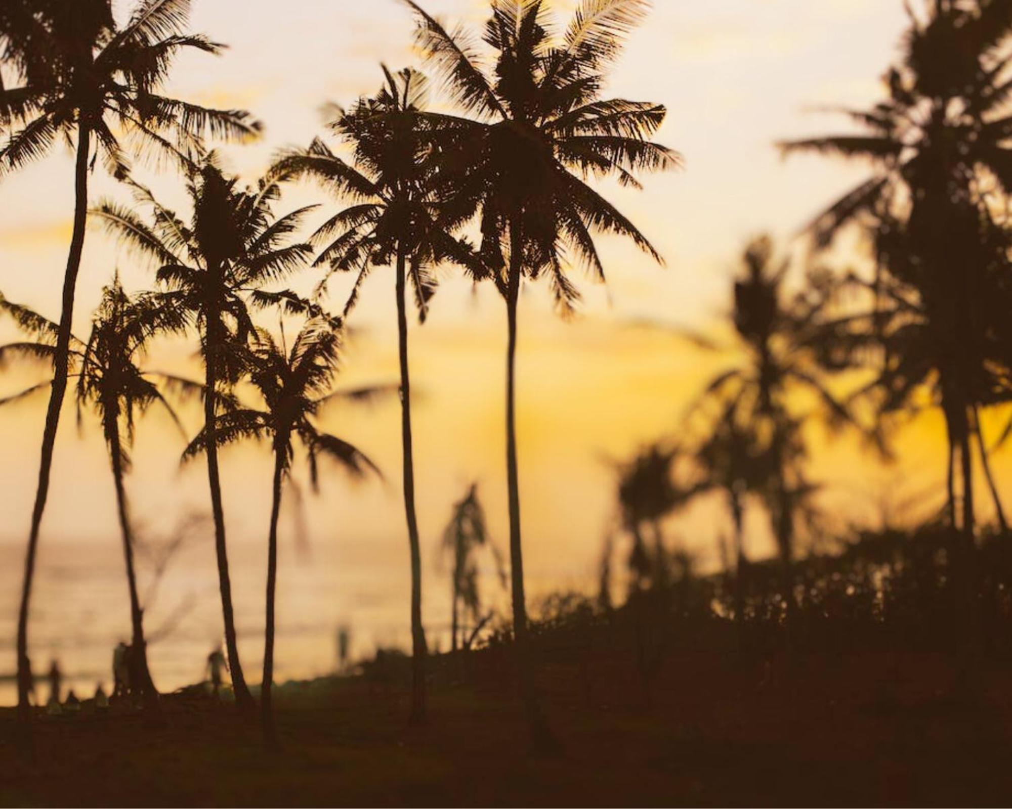 Amour At Turtle Beach Tangalle Ngoại thất bức ảnh