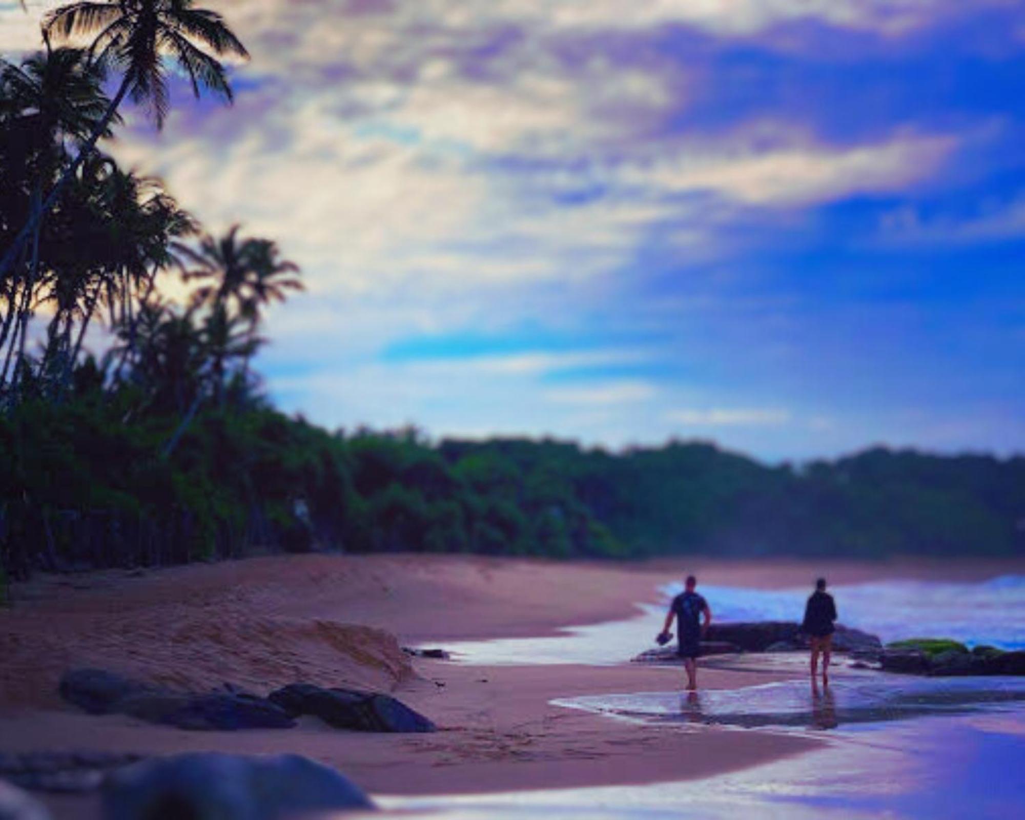 Amour At Turtle Beach Tangalle Ngoại thất bức ảnh